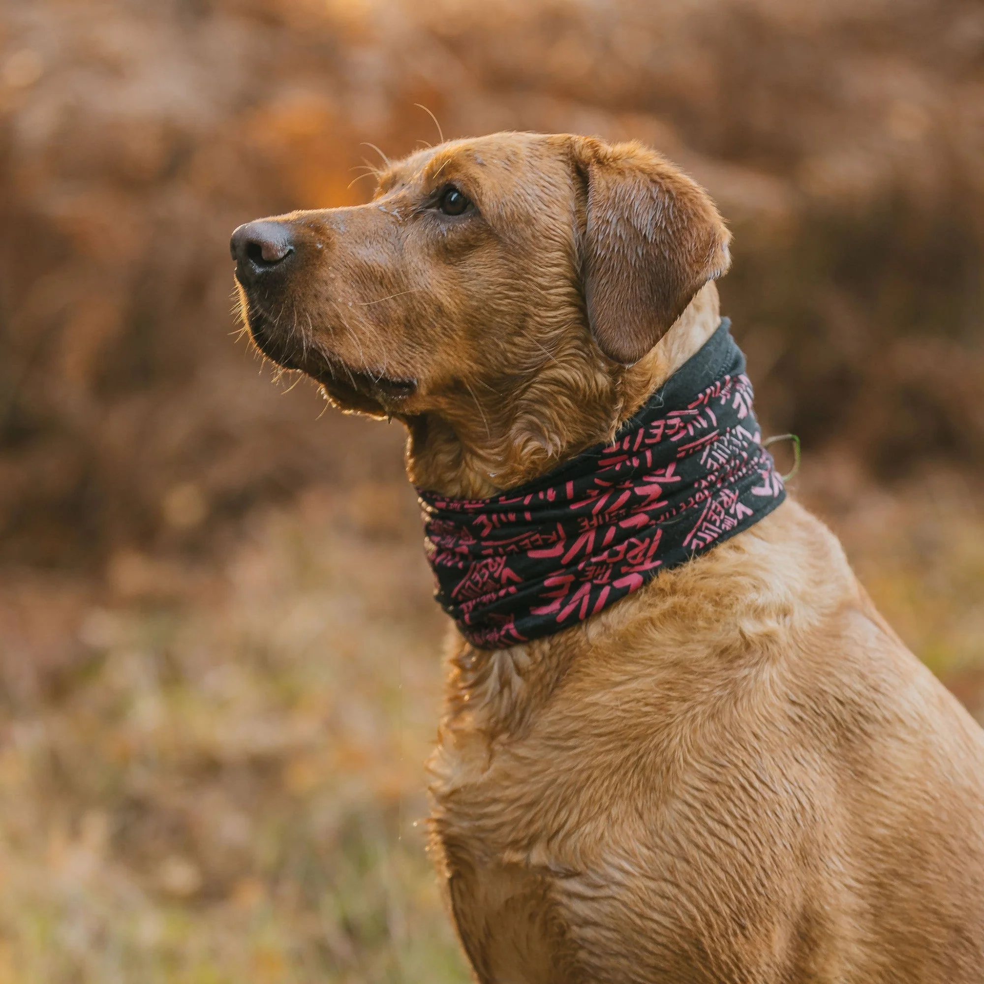 AT048 Arbortec LTTL Neck Snood - Image 6