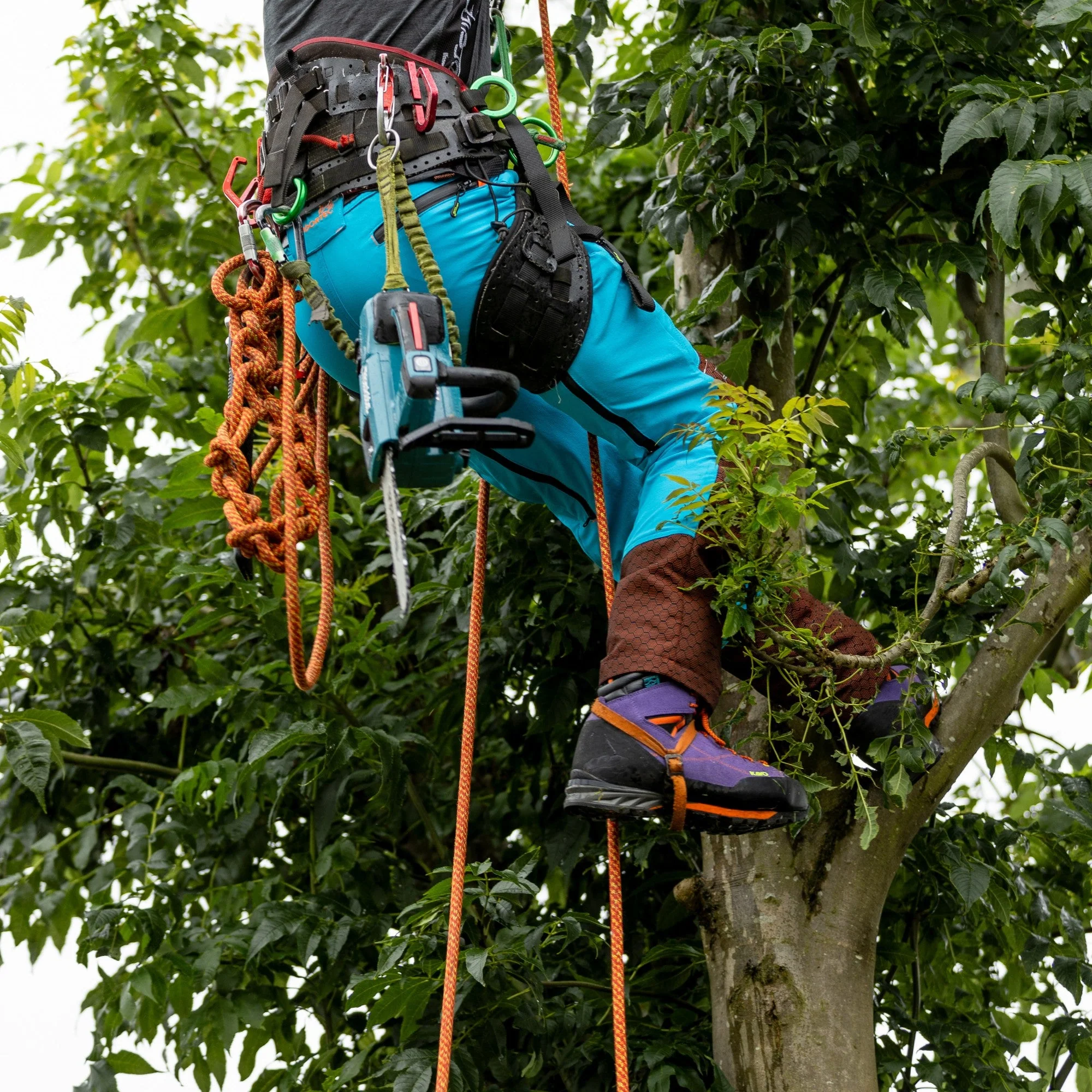 AT34000 Kayo Chainsaw Protective Climbing Boots – Purple - Image 9
