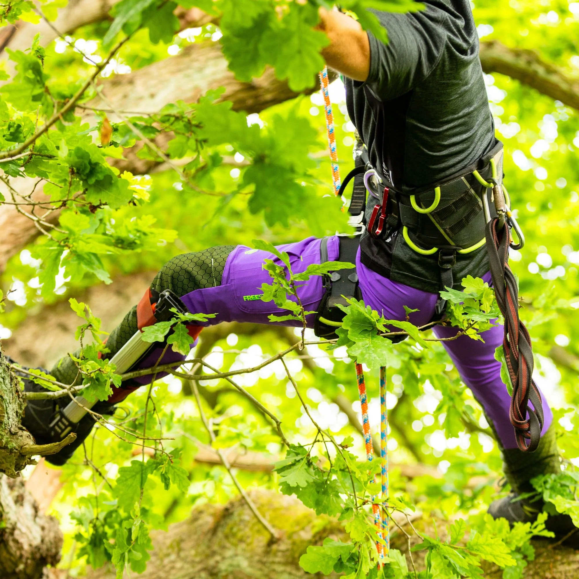 Freestyle Chainsaw Trousers Design A Class 1 - Purple - AT4061 - Image 12